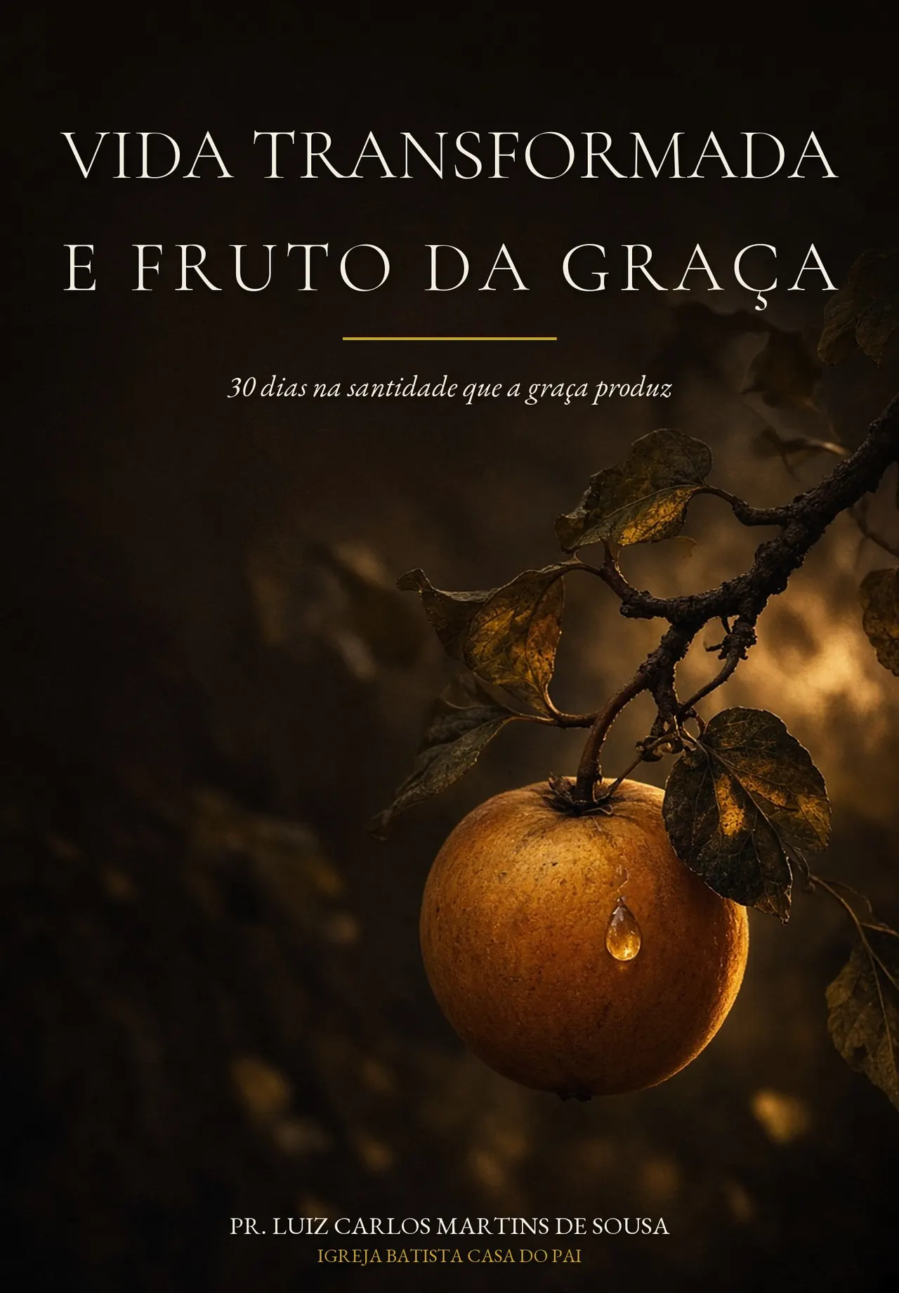 VIDA TRANSFORMADA E FRUTO DA GRAÇA